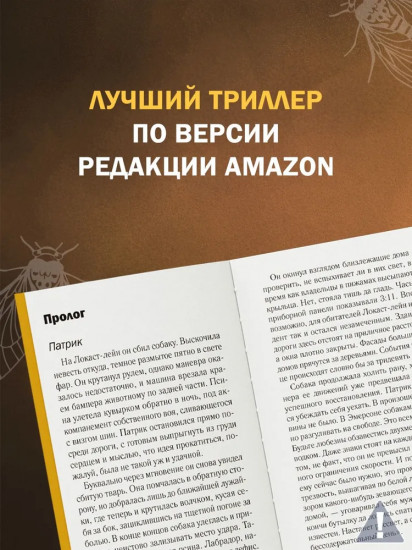 Когда поют цикады