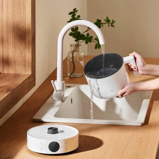 Пароварка электрическая Xiaomi Multifunctional Cooker