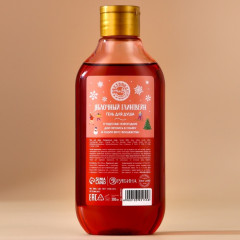 Гель для душа «Яблочный глинтвейн» - Фото 1