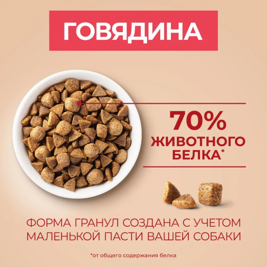Корм сухой для мелких и карликовых пород, с говядиной и рисом