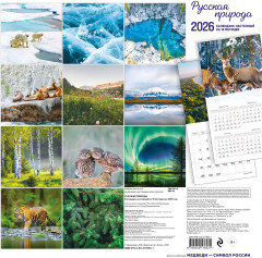 Календарь настенный на 2026 год «Русская природа» - Фото 1