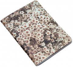 Тетрадь общая - Фото 2