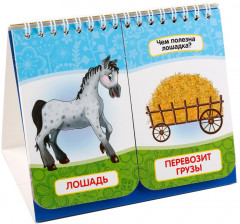 Домашние животные - Фото 1