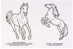 Лошади и пони - Фото 1