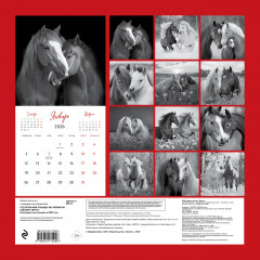 Календарь настенный на 2026 год «Год огненной лошади. Мы любим их. Они друг друга!» - Фото 1